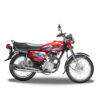 ROAD PRICE RP-125CC MOTOR CYCLE