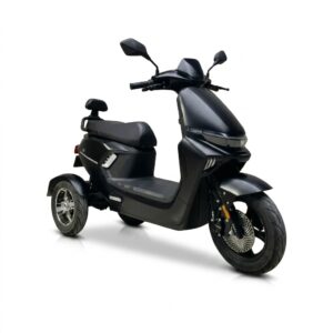 EVEE S1 3W ELECTRIC BIKE 1200W